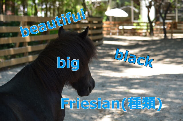 horse